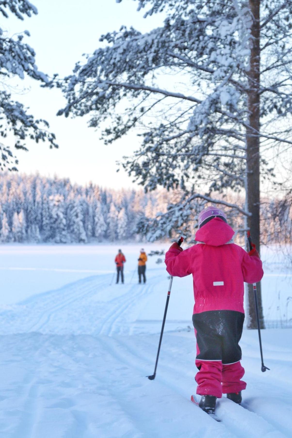 Guesthouse Koli Freetime Ахмоваара Экстерьер фото