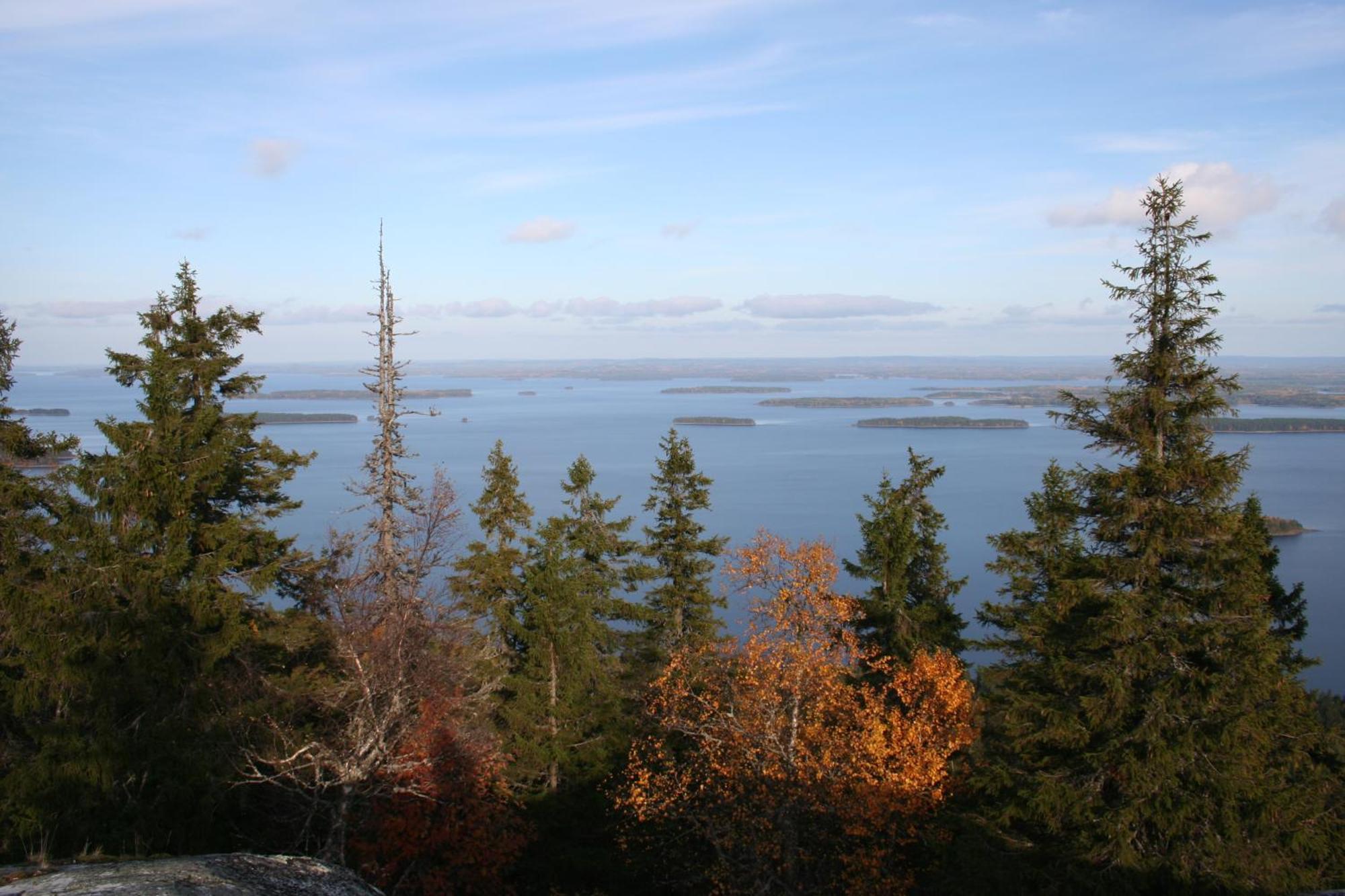Guesthouse Koli Freetime Ахмоваара Экстерьер фото