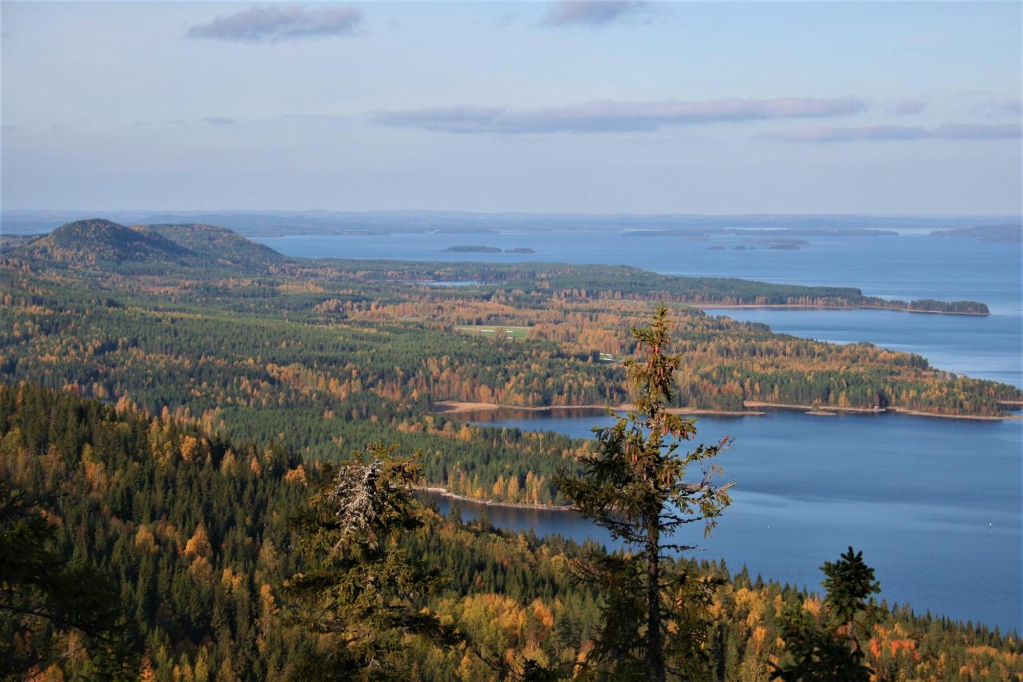 Guesthouse Koli Freetime Ахмоваара Экстерьер фото