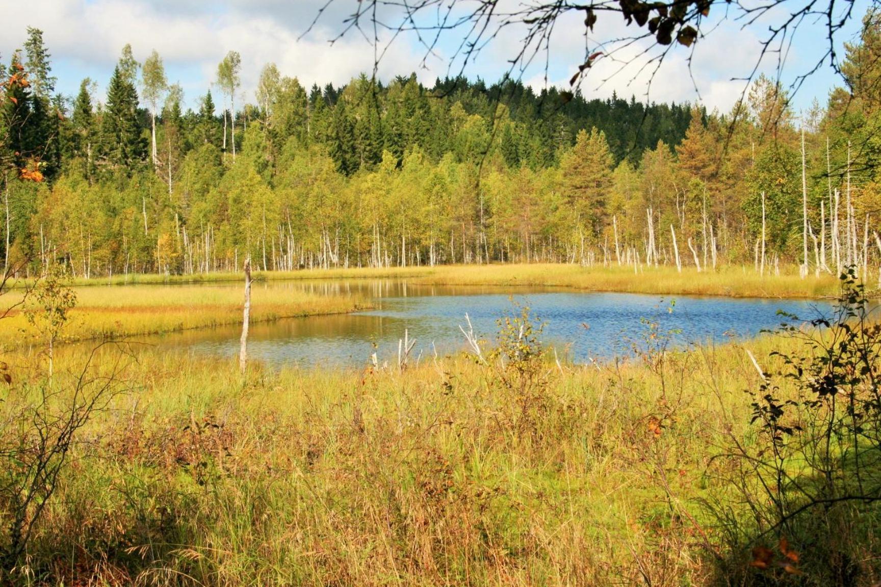 Guesthouse Koli Freetime Ахмоваара Экстерьер фото